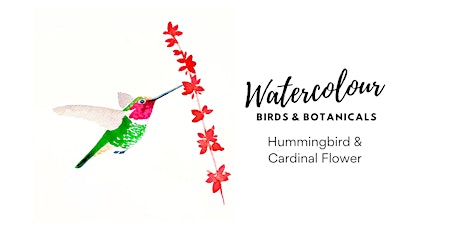 Birds & Botanicals Watercolour Class - [Hummingbird & Cardinal Flower]