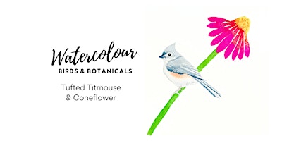 Birds & Botanicals Watercolour Class - [Tufted Titmouse & Coneflower] primary image