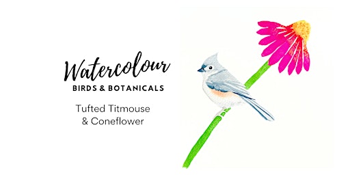 Image principale de Birds & Botanicals Watercolour Class - [Tufted Titmouse & Coneflower]