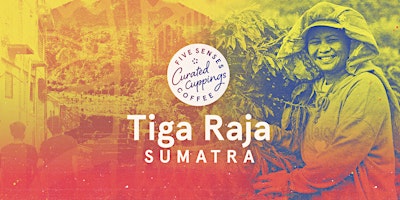 QLD • Curated Cupping: Sumatra primary image