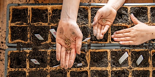 City of Scottsdale Earth Day Festival, Free Compost Workshop at Cactus Park  primärbild