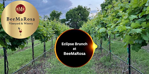 Primaire afbeelding van Solar Eclipse Monday Brunch