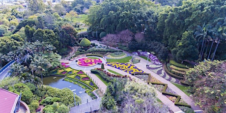 Guided Tour-Spectacle Garden in Colin Campbell Place, Roma Street Parkland