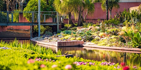 Guided Tour-Spectacle Garden in Colin Campbell Place, Roma Street Parkland