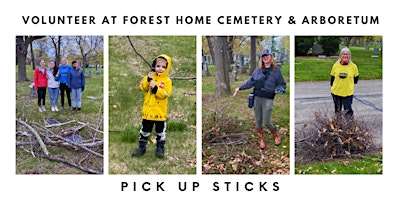 Volunteer opportunity:  Stick pickup primary image