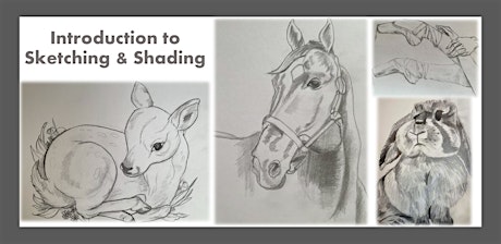 Imagen principal de Donation Supported I ONLINE: Intro to Sketching and Shading