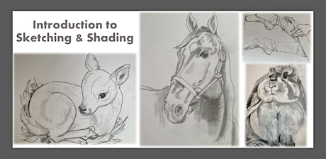 ONLINE: Introduction to Sketching and Shading primary image