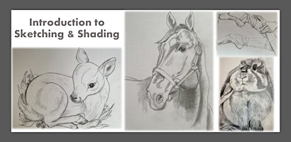 Imagem principal do evento ONLINE: Introduction to Sketching and Shading