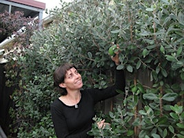 Hauptbild für Home Harvest - Winter fruit tree pruning and maintenance