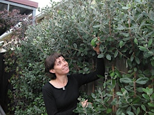 Image principale de Home Harvest - Winter fruit tree pruning and maintenance