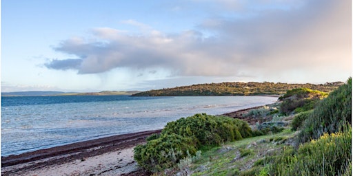 Hauptbild für SA Climate Change Projects - First Nations Engagement Adelaide Metro