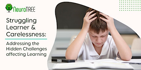 Struggling Learner & Carelessness: Addressing the Hidden Challenges affecting Learning