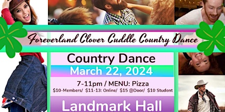 Foreverland Gingham Swing 'Em Country Dance