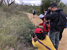 Imagem principal do evento Nature Discovery Walk