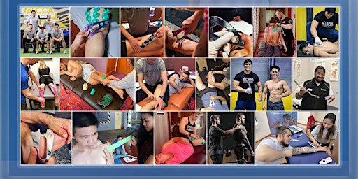 Immagine principale di Foundations to Movement - IASTM. Cupping. Taping 