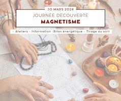 Primaire afbeelding van JOURNEE DECOUVERTE MAGNETISME