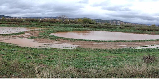 Imagen principal de La mitigació del Risc Hídric i la compensació de l'impacte.