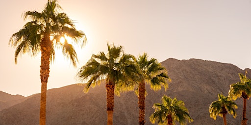 Palm Springs: City and Desert App-Guided Driving Tour primary image