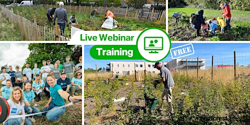 Imagen principal de Training webinar: Tiny Forest- Tree Keeper Induction