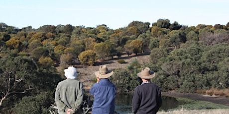 Native Vegetation Winter Weeds - Online - 3 July