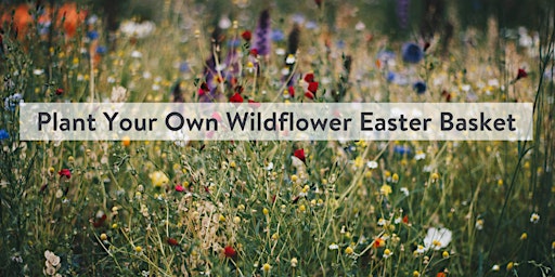 Imagem principal do evento Plant your own Wildflower Easter Basket