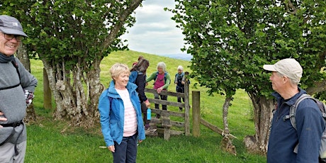 WALK 3. TAITH I’R “KERRY LAMB” YNG NGHERI  WELSH PUB WALK TO KERRY