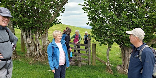 WALK 2. TAITH I’R “KERRY LAMB” YNG NGHERI  WELSH PUB WALK TO KERRY  primärbild