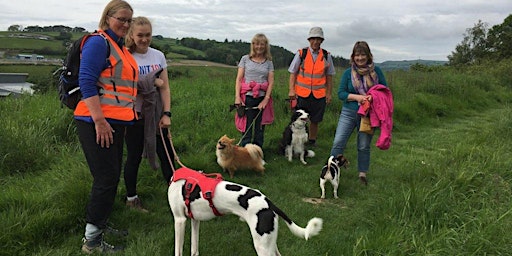 Imagem principal do evento WALK 1. Saturday Dog Friendly Walk