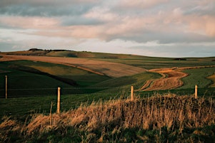 Primaire afbeelding van White Sheet Hill and Castle Hill 11km hike - Wiltshire (Women only)