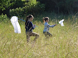 Forest Fun Day in the Easter Holidays primary image