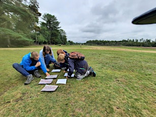 New Forest Junior Rangers (open session) - Discover  the New Forest