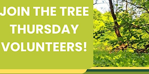 Primaire afbeelding van Tree Thursday at Bramley Fall Park