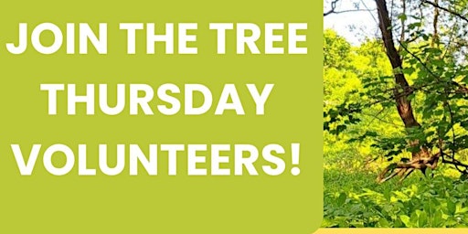 Primaire afbeelding van Tree Thursday at Primrose Valley Park