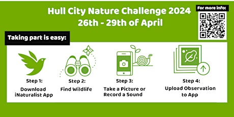 Hull City Nature Challenge: How to use iNaturalist