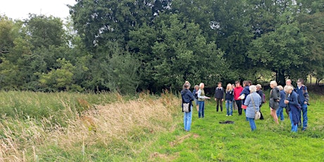 Standardised Butterfly survey techniques, a practice near Pangbourne, Berks