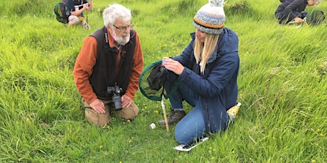 An Upper Thames ID session at Small Dean Lane Bank, led Nick Bowles