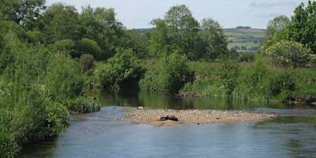 Guided Walk - River Ramble