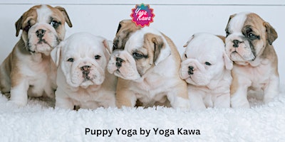 Imagen principal de Puppy Yoga (Family-Friendly) by Yoga Kawa Hamilton