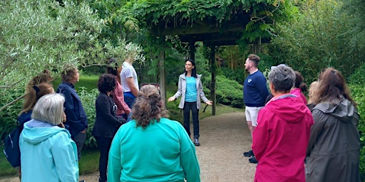 Hauptbild für Forest Bathing - Experience the healing power of Nature