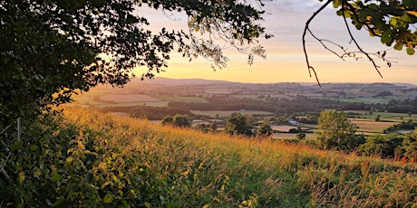 Image principale de Guided Walk - Denbury Hillfort