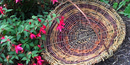 Art & Craft Class - St. Columbs Park House - Willow Weaving primary image