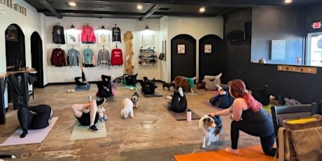 Yoga with your Dog