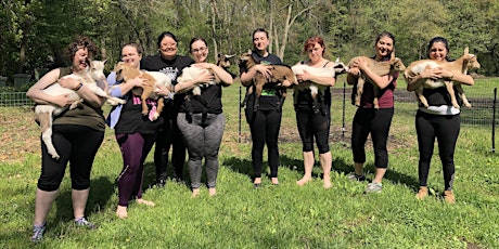 Goat Yoga