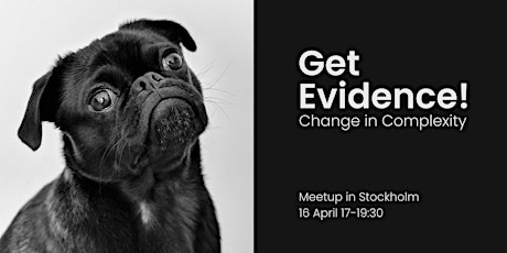 Meetup in Stockholm about Change in Complexity  primärbild