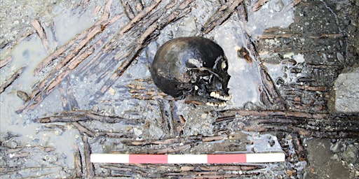 Image principale de Disarticulated Iron Age & Roman human remains within the town of Silchester