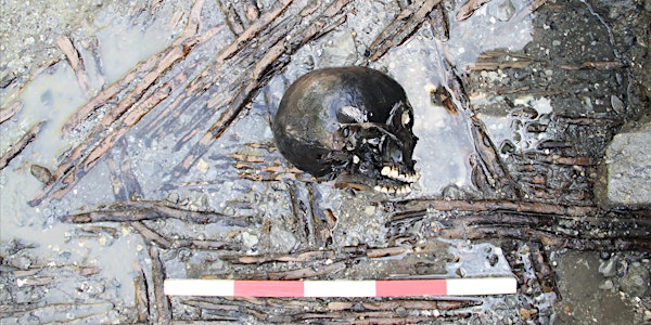 Disarticulated Iron Age & Roman human remains within the town of Silchester