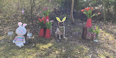 Imagem principal do evento 'Spring into Wildlife'(for dogs and their owners) at Paxton Pits!