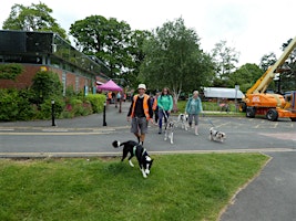 Imagem principal do evento WALK 8. Sunday Dog Friendly Walk