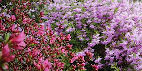 Summer Pruning Workshop