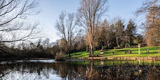 Immagine principale di Special Tree Walk 